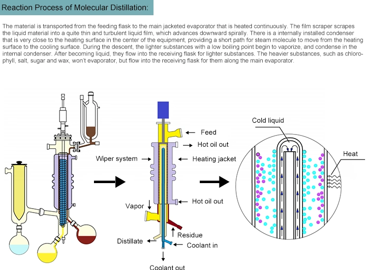 Home Kugelrohr Short-Path Distillation Apparatus Short Path Molecular Distillation Kit Turn Key with Vacuum Gauge