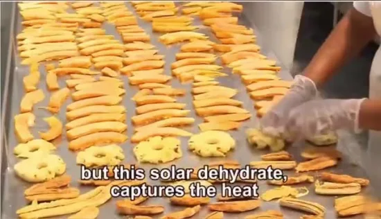 Made in China Armazém de Alta Eficiência Máquina de Secador Solar de Legumes com Estufa
